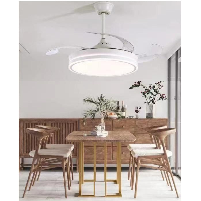 Wisdom Ventilatore Da Soffitto E Plafoniera 60W Lampadario Led Pale A Scomparsa