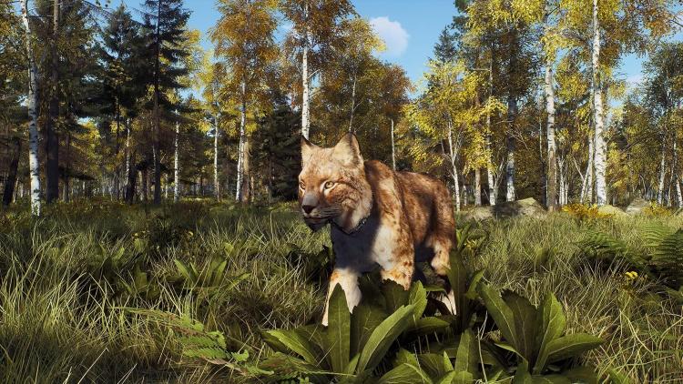 Way Of The Hunter Wild Expeditions Ps5 Sub Ita Playstation 5 Videogioco Cover Eu