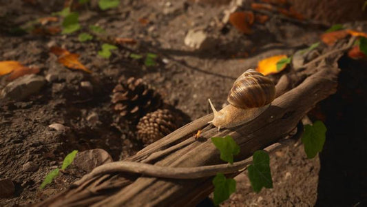 Empire Of The Ants - Limited Edition Ps5 Gioco Italiano Sigillato Playstation 5