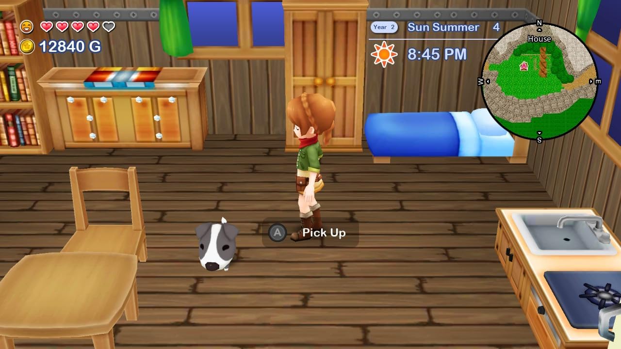 Harvest Moon: The Lost Valley + Skytree Village Nintendo Switch Gioco Nuovo EU