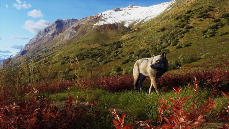 Way Of The Hunter Wild Expeditions Ps5 Sub Ita Playstation 5 Videogioco Cover Eu