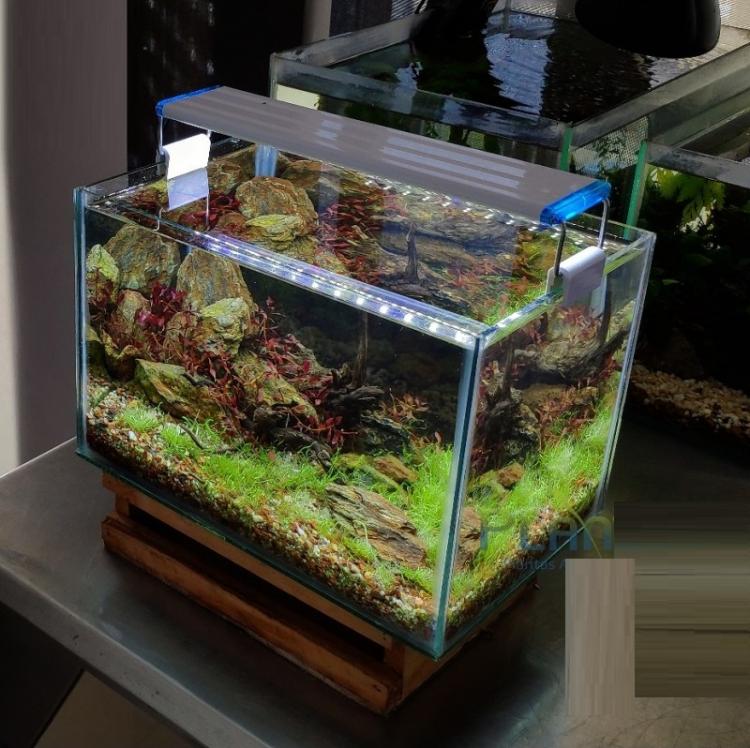 Plafoniera Led Luce Bianca Blu Lampada Per Acquario Barra Da 40 A 50Cm Slim -D93