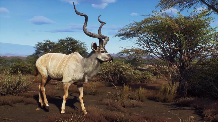 Way Of The Hunter Wild Expeditions Ps5 Sub Ita Playstation 5 Videogioco Cover Eu