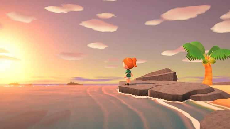 ANIMAL CROSSING: NEW HORIZONS NINTENDO SWITCH GIOCO ITALIANO VIDEOGIOCO NUOVO