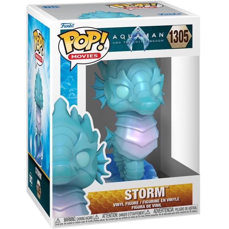 Funko Pop ! Movies - Aquaman And The Lost Kingdom (1305) Storm Vinyl Figure 9Cm