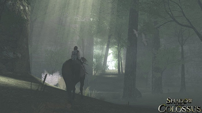 Ico E Shadow Of The Colossus Ps3 Videogioco Playstation 3 Bundle 2 Giochi Ita