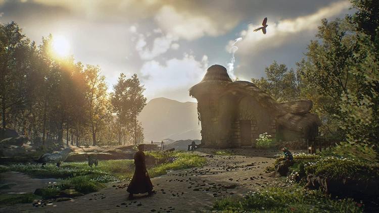 Hogwarts Legacy Ps4 Videogioco Harry Potter Playstation 4 Italiano Gioco Nuovo