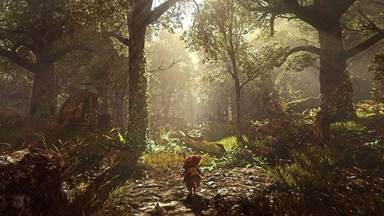 Ghost Of A Tale Collector'S Edition Ps4 Videogioco Playstation 4 Nuovo Sigillato