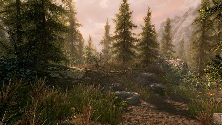 Elder Scrolls V: Skyrim Special Edition Xbox One Gioco Nuovo Italiano Sigillato