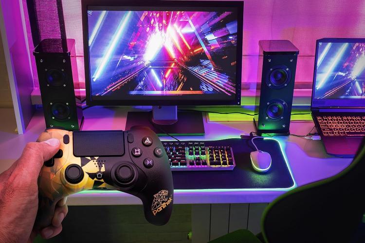 Panthek Controller Ps4 Ps3 Pc Windows Gamepad Pad Wired Doppia Vibrazione Gaming