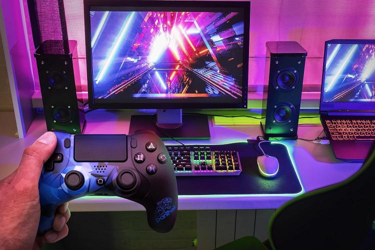 Panthek Controller Ps4 Ps3 Pc Windows Gamepad Pad Wireless Doppia Vibrazione