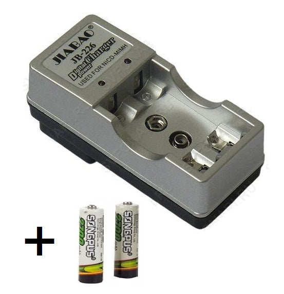 CARICA BATTERIE + 2 PILE RICARICABILI CARICATORE 220 VOLT PER AA AC 220V DA CASA