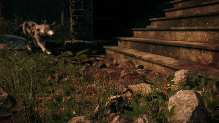 Maid Of Sker Ps5 Gioco Horror Playstation 5 Videogioco Italiano Eu Nuovo Up Ps5