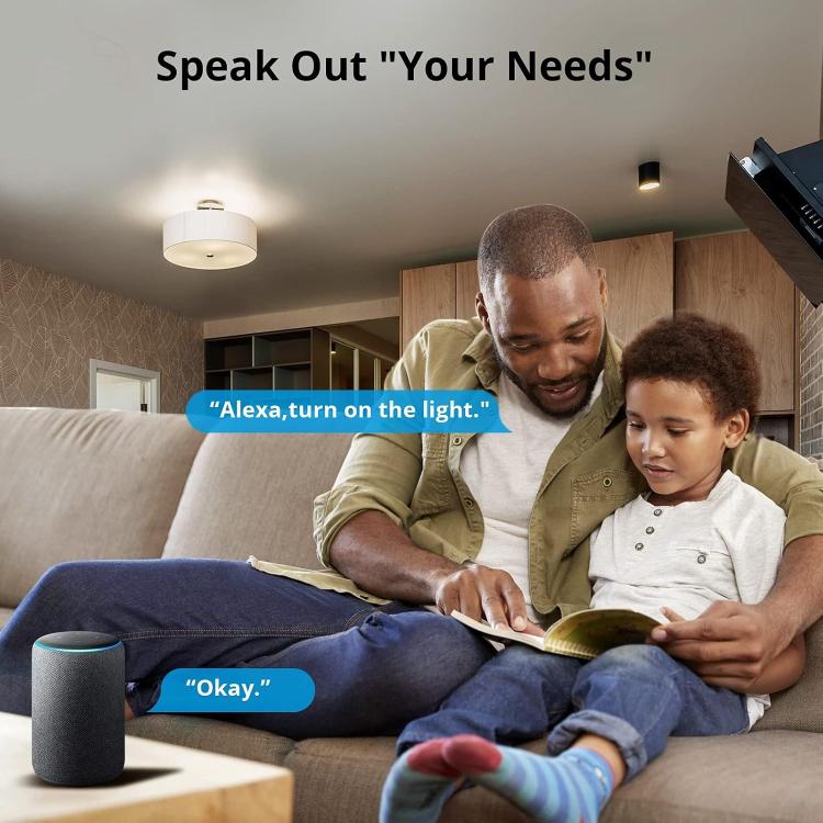 Sonoff Dual R3 Controllo Vocale Consumi Tapparelle 2 Canali Wifi Domotica Alexa