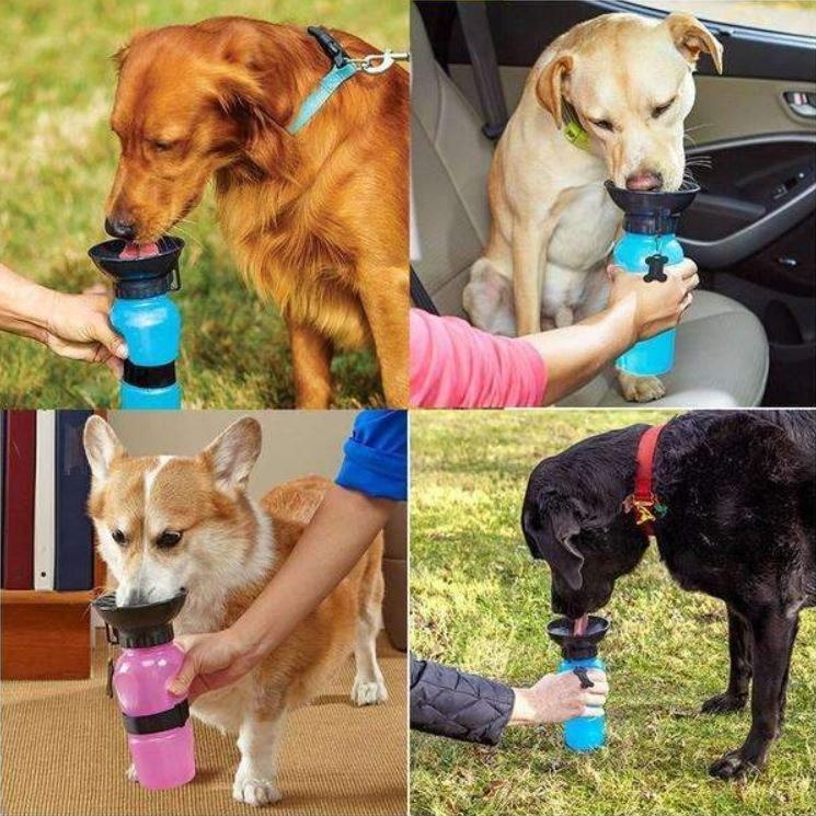 BORRACCIA PORTATILE CANE GATTO ANIMALI DISPENSER BEVERINO ACQUA CIOTOLA VIAGGIO