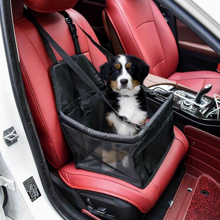 Trasportino Seggiolino Auto Sediolino Cane Gatto Borsa Animali Cuccia Viaggio