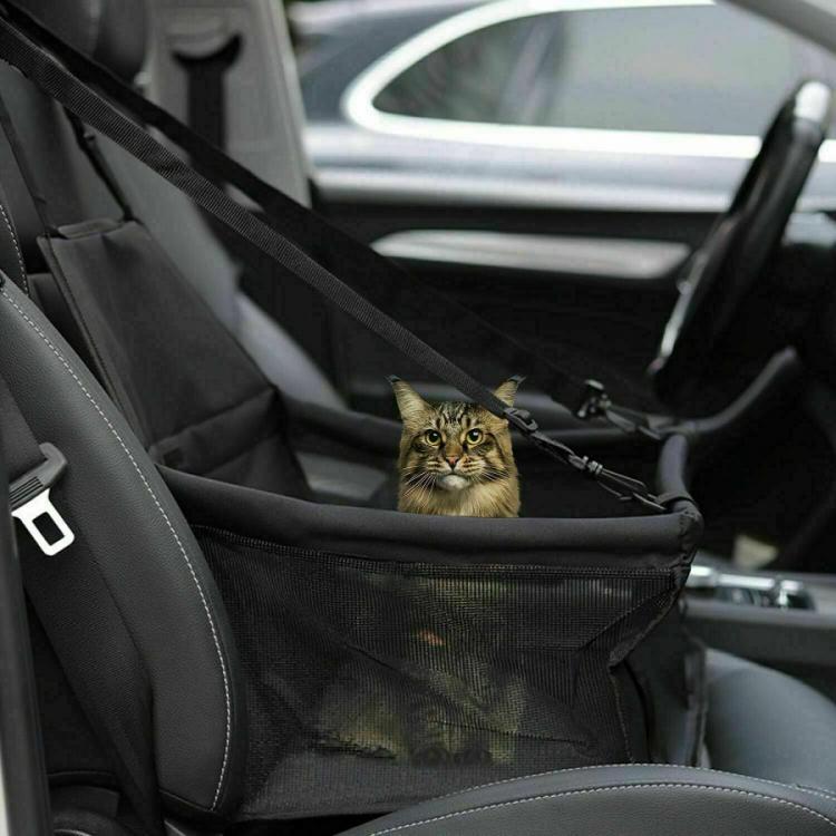 Trasportino Seggiolino Auto Sediolino Cane Gatto Borsa Animali Cuccia Viaggio