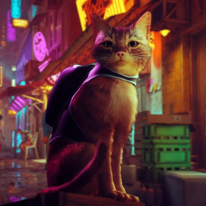 Stray Ps4 Videogioco Nuovo Italiano Gioco Play Station 4 Sigillato Cat Game