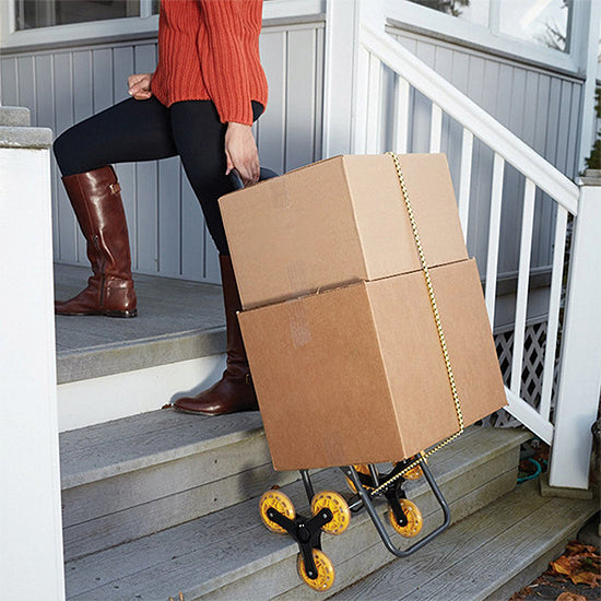 CARRELLO PORTASPESA PORTA SPESA 3 RUOTE TRIS TROLLEY SALI SCENDI SCALE PIEGHEVOL