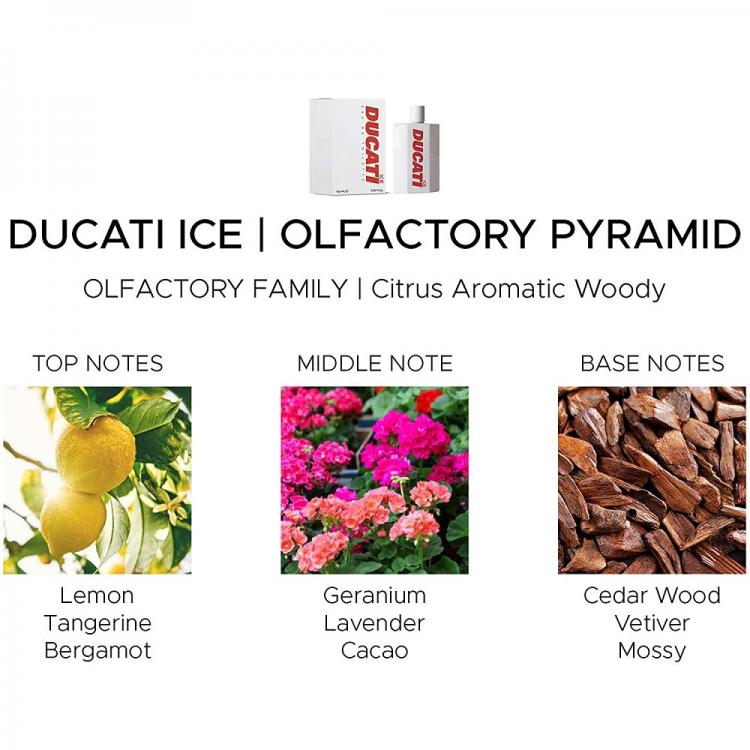 Ducati Ice Eau De Toilette 100Ml Profumo Natural Spray Da Uomo O Unisex Limited
