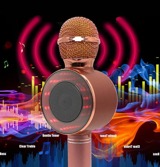 Microfono Karaoke Altoparlante Bluetooth Wireless Con Speaker Cassa Led -No Filo
