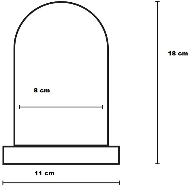 CAMPANA CUPOLA CON ROSA ETERNA LUCE LED BELLA E LA BESTIA NATALIZIA LUCE CALDA