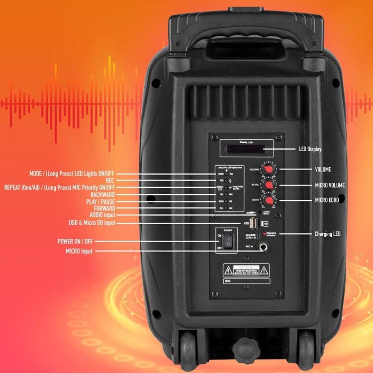 Ngs Speaker Wild Samba Portatile Bt + Mic Ricaricabile 30W Cassa Bluetooth