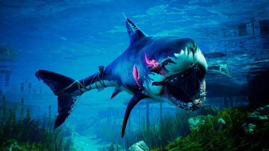 Maneater Apex Edition Ps4 Gioco Italiano Playstation 4 Eu Multilingua Nuovo Ps5