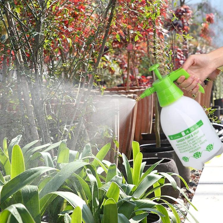 Spruzzatore A Pressione Graduato 2L Pompa Acqua Nebulizzatore Per Giarrdinaggio