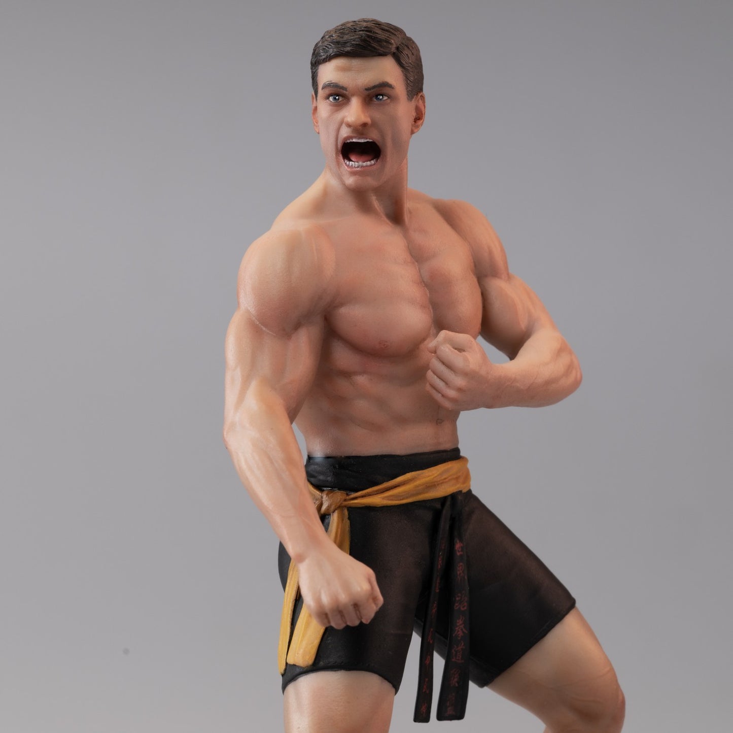 Infinite - Bloodsport (Frank Dux) Icon X Figure Pvc 20cm Film Van Damme (Preorder) Statuetta