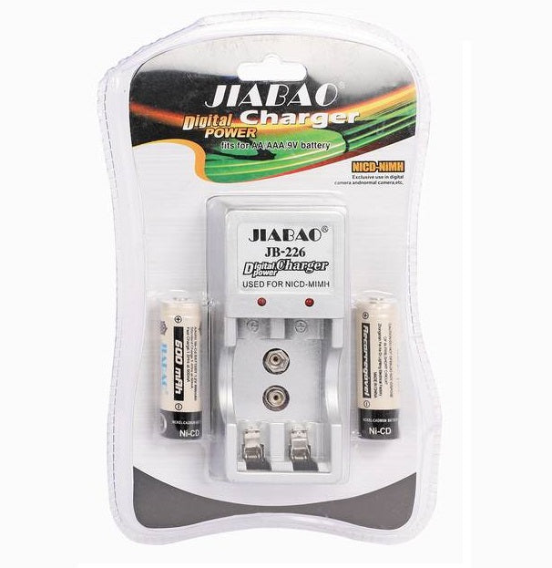 CARICA BATTERIE + 2 PILE RICARICABILI CARICATORE 220 VOLT PER AA AC 220V DA CASA