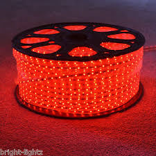 Striscia Led Smd 5050 5M 5 Metri 12V Ip66 Adesiva Bobina Led Flessibile Rosso