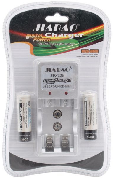 CARICA BATTERIE + 2 PILE RICARICABILI CARICATORE 220 VOLT PER AA AC 220V DA CASA