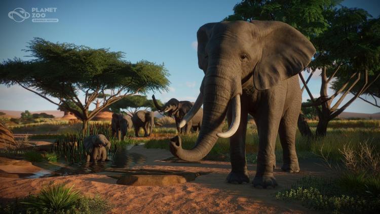 Planet Zoo: Console Edition Ps5 Gioco Italiano Playstation 5 Eu Ita