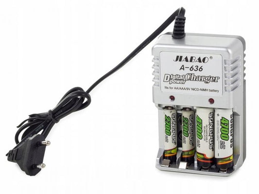 CARICA BATTERIE RICARICABILI CARICATORE 220 VOLT PER PILE AA-AAA 9V AC 220V CASA
