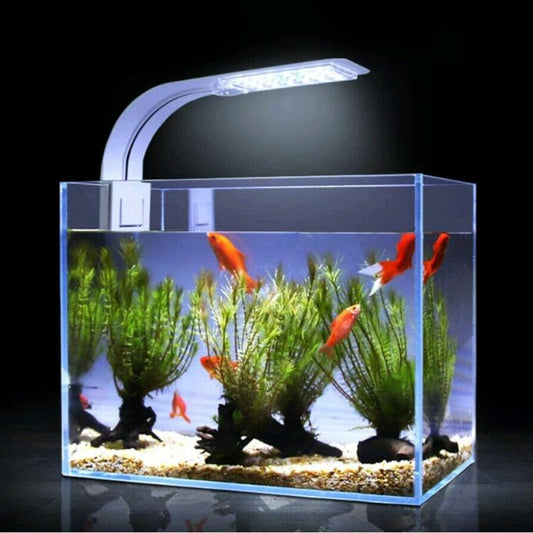 Plafoniera Luce Acquario Bianca/Blu 18 Led Esterna 7W Barra Tartarughiera Dee301