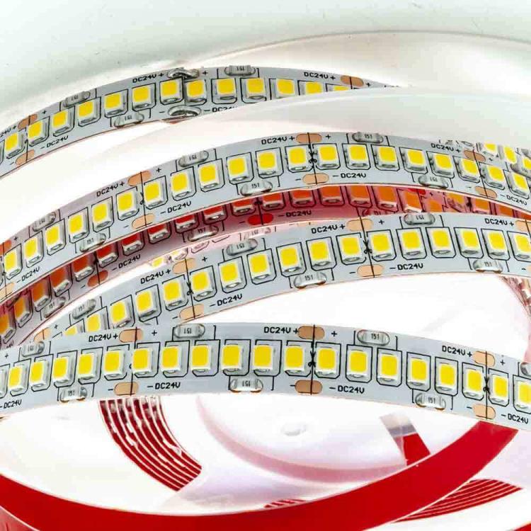 Strip 5M Striscia 600 Led 2835 61W 24V Bobina 5 Mt Biadesiva Luce Naturale 4000K