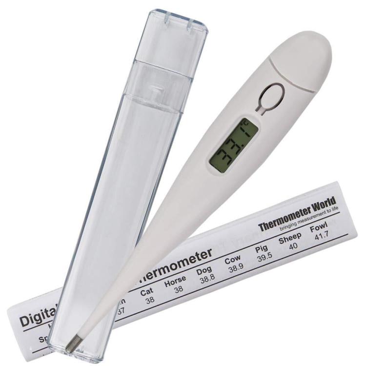 Medisana Ecomed Termometro Digitale Febbre Temperatura Corpo Punta Flessibile