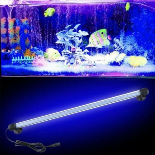 BARRA LED LAMPADA NEON PER ACQUARIO IMPERMEABILE IMMERSIONE LUCE BLU 20cm