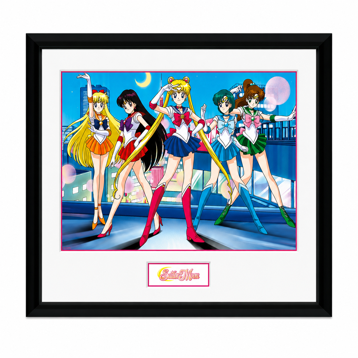 Sailor Moon And Friends Cornice Quadro Collector Print 30x40cm
