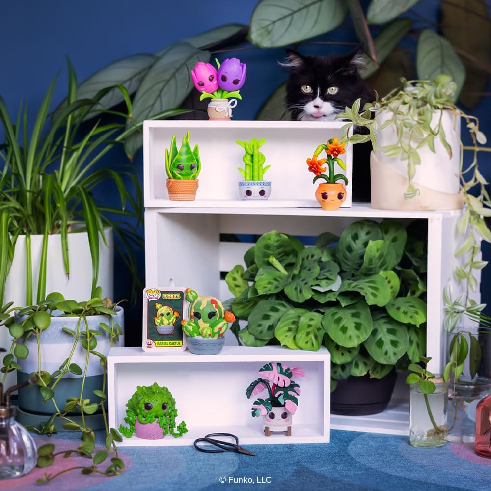 Funko Mystery Blind Flora Plants (1pz) Random Figure 10cm - Blind Box