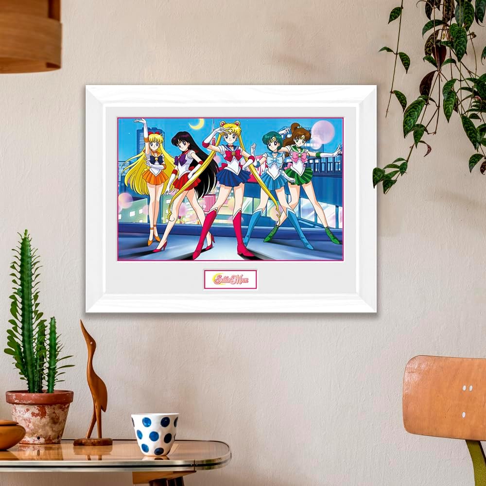 Sailor Moon And Friends Cornice Quadro Collector Print 30x40cm