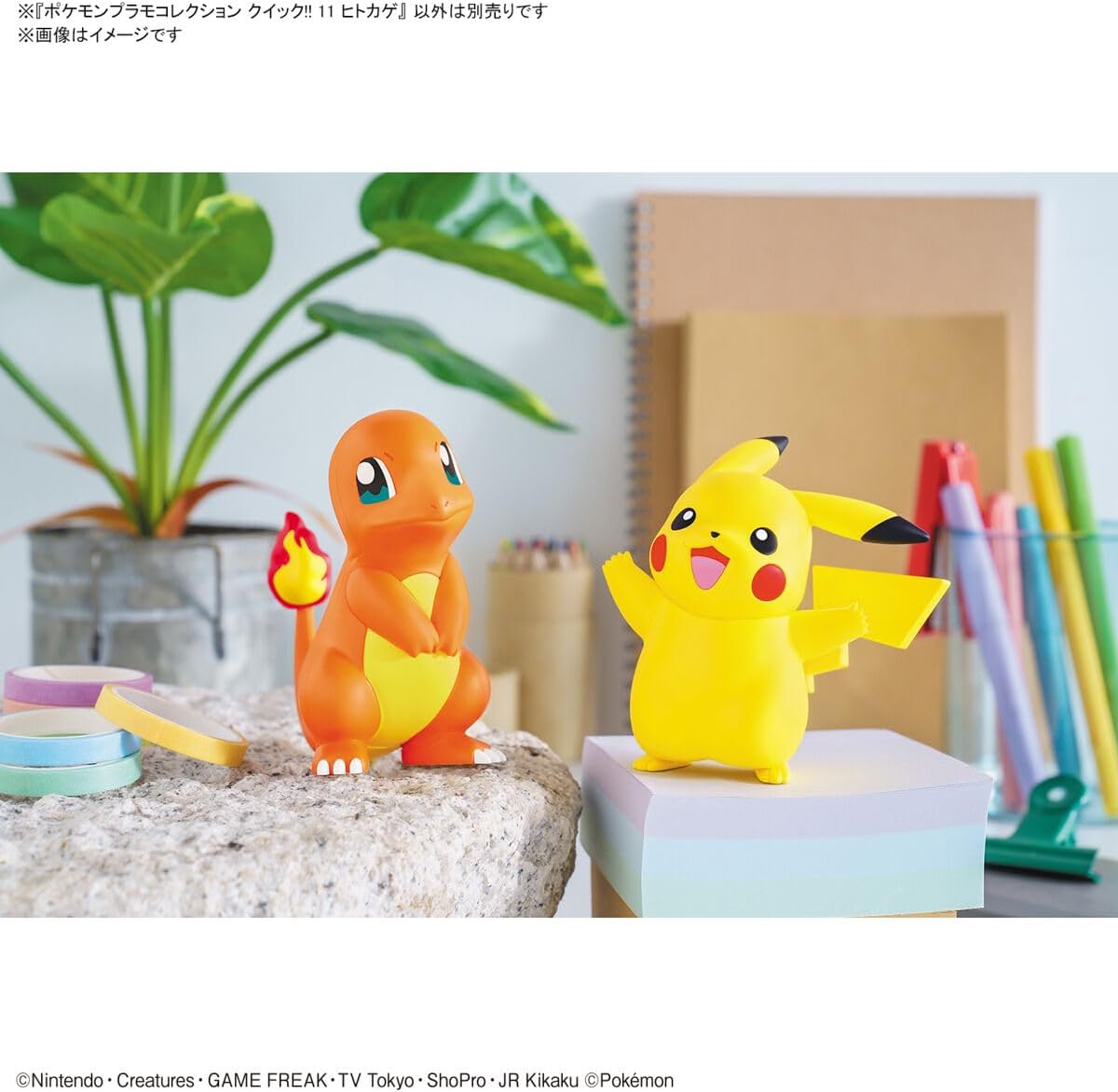 Bandai Pokémon: Model Kit Pokepla Plamo Quick 11 Charmander - Figure 10cm PVC