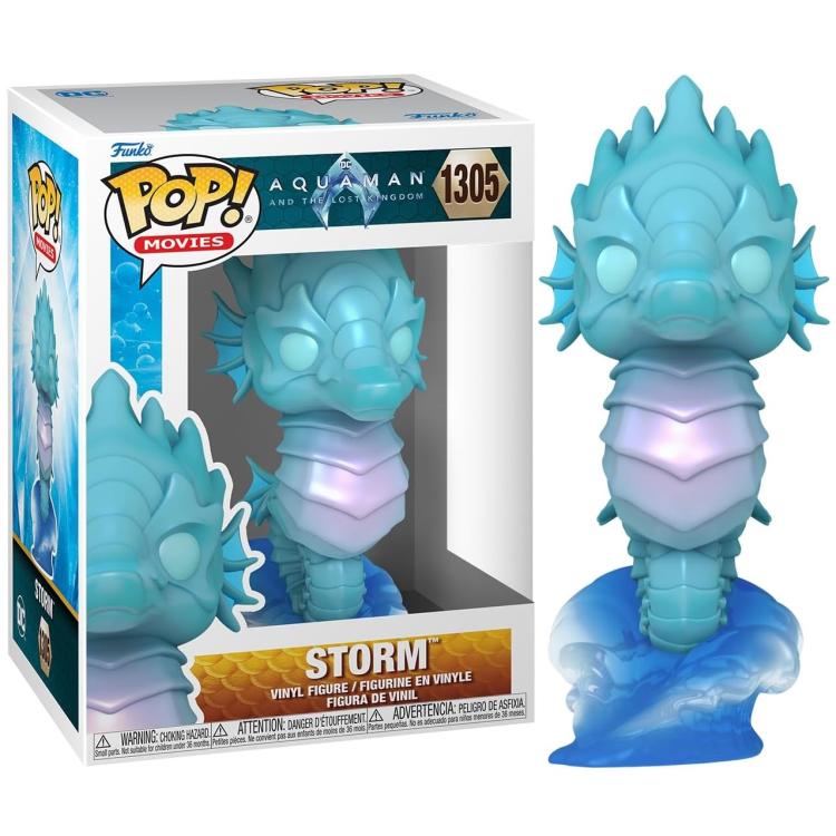 Funko Pop ! Movies - Aquaman And The Lost Kingdom (1305) Storm Vinyl Figure 9Cm