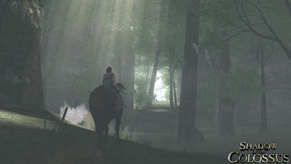 Ico E Shadow Of The Colossus Ps3 Videogioco Playstation 3 Bundle 2 Giochi Ita