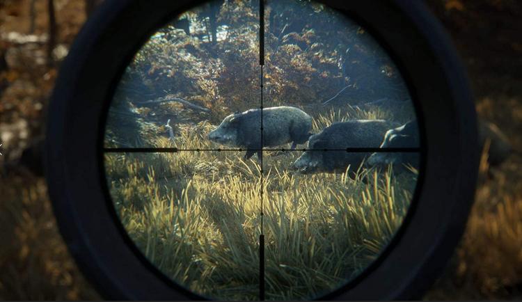 The Hunter Call The Of The Wild 2019 Edition Ps4 Videogioco Italiano Sigillato