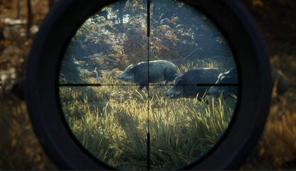 The Hunter Call The Of The Wild 2019 Edition Ps4 Videogioco Italiano Sigillato