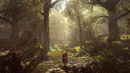 Ghost Of A Tale Collector'S Edition Ps4 Videogioco Playstation 4 Nuovo Sigillato