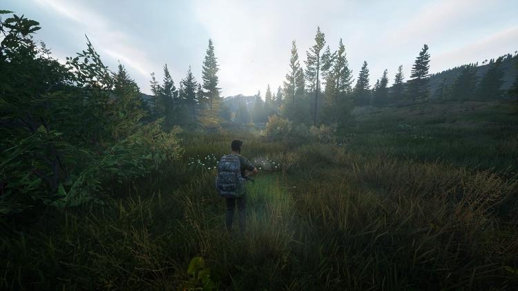 Hunting Simulator 2 Ps5 Videogioco Caccia Italiano Playstation 5 Nuovo Sigillato