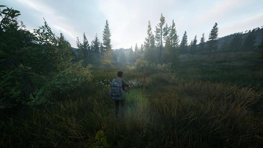 Hunting Simulator 2 Ps5 Videogioco Caccia Italiano Playstation 5 Nuovo Sigillato